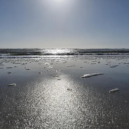 A 50m De La Avec Parking Et Wi-fi - Fr-1-482-155 *