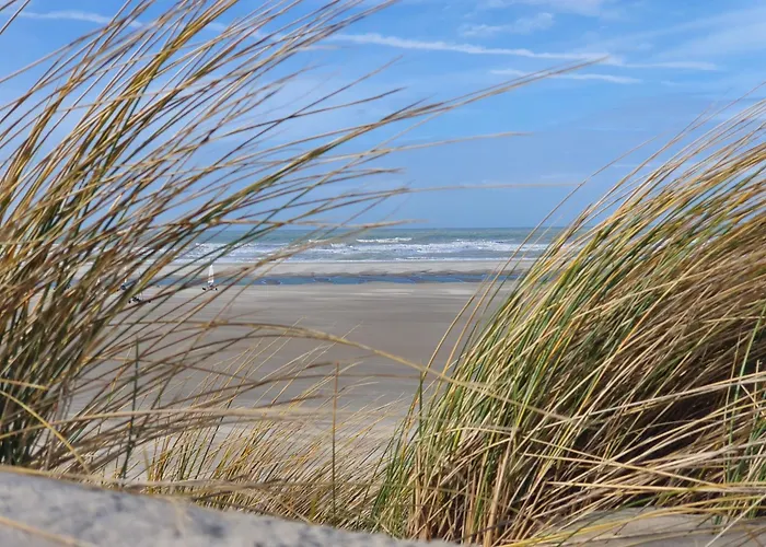 A 50m De La Avec Parking Et Wi-fi - Fr-1-482-155